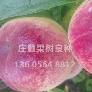 優系F