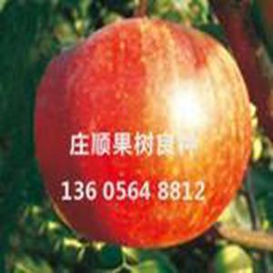 美國航標燈