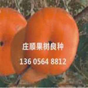次郎